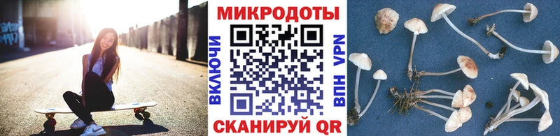 Псилоцибиновые грибы Psilocybe  наркота  Гуково 