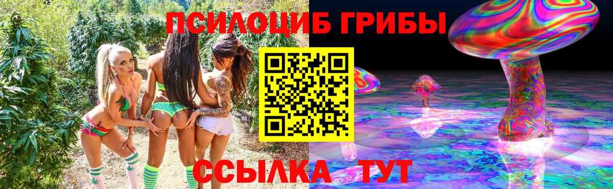 Гуково  Псилоцибиновые грибы MAGIC MUSHROOMS  Галлюциногенные грибы мицелий  Вход с VPN 