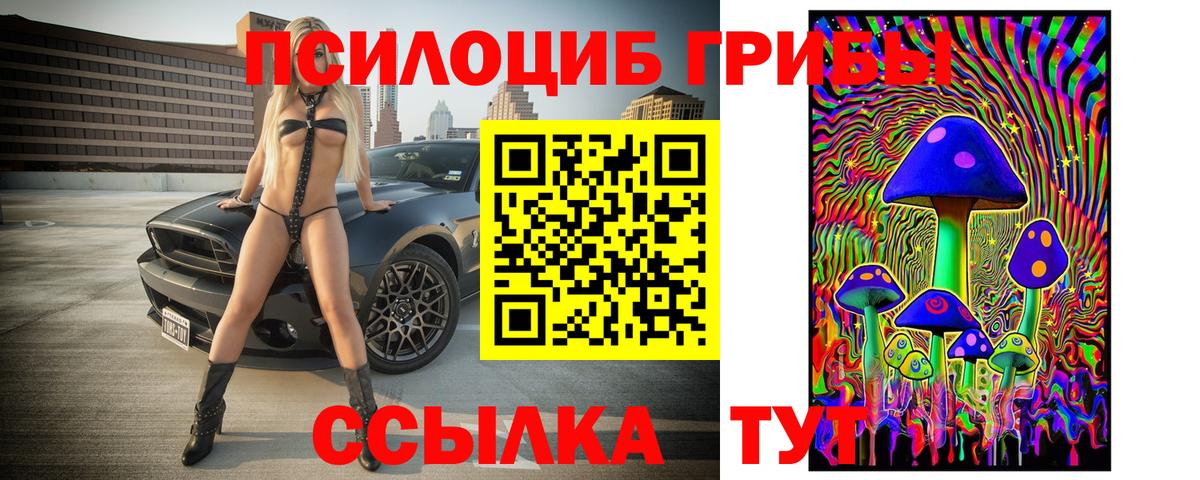 где купить наркоту  Гуково  Галлюциногенные грибы мухоморы  Псилоцибиновые грибы MAGIC MUSHROOMS 